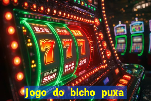 jogo do bicho puxa de dona maria